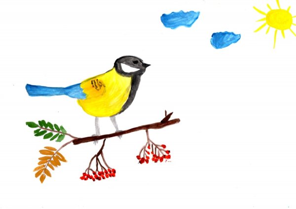 Рисование с детьми синичка