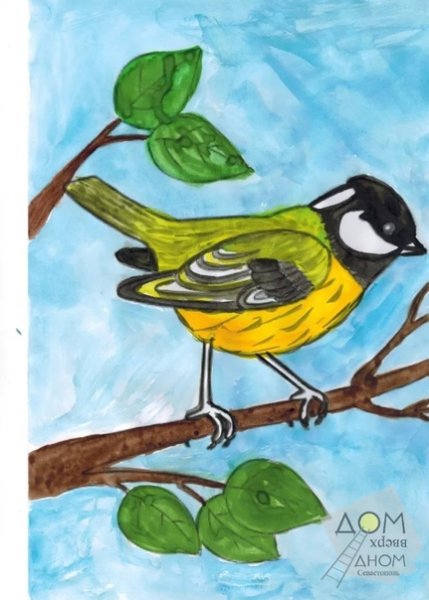 Рисование синички