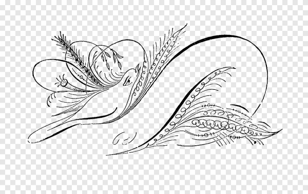 Каллиграфическое рисование