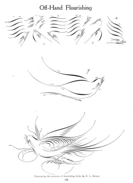 Каллиграфические птицы