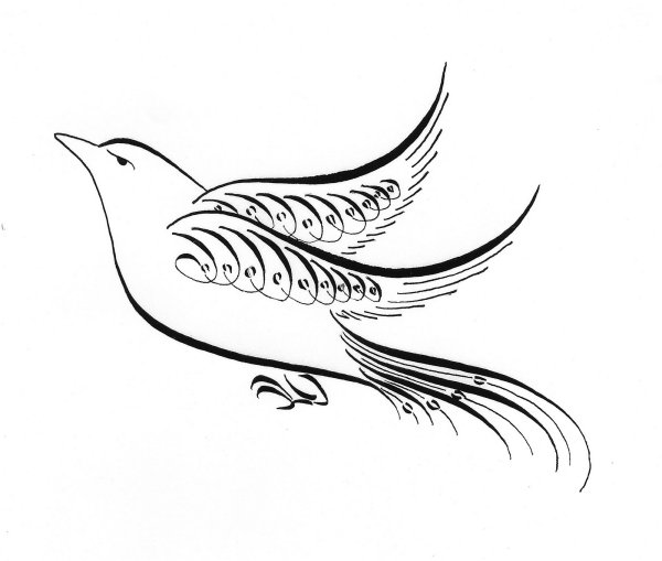 Каллиграфические рисунки птиц