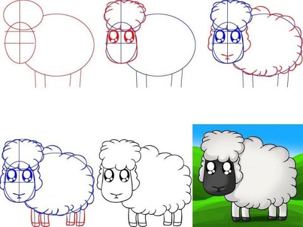 Поэтапное рисование барана