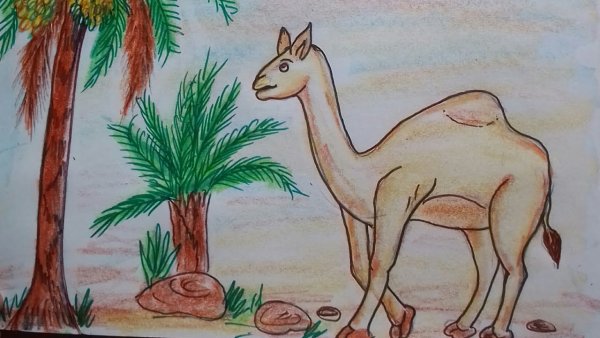 Пустыня карандашом