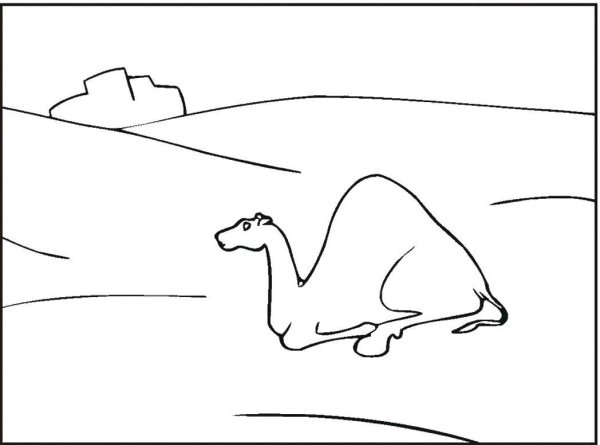 Пустыня раскраска