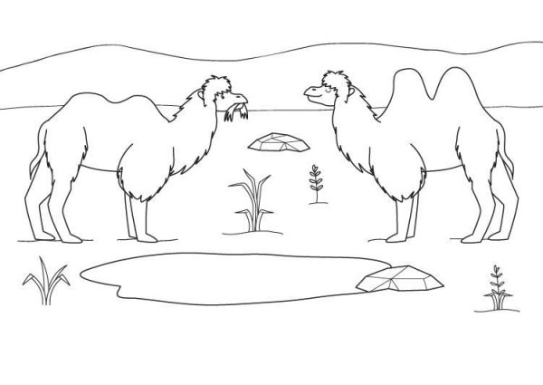 Пустыня раскраска