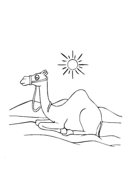 Аппликация на тему пустыня