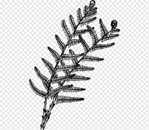 Веточка папоротника