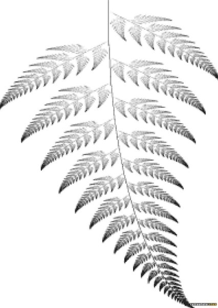 Папоротник тату эскиз