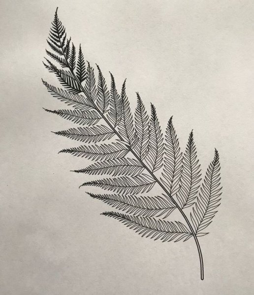 Лист папоротника тату