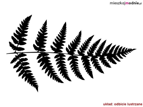 Папоротник силуэт