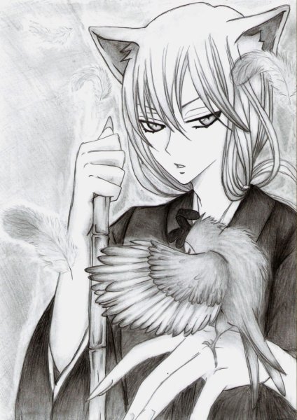 Томоэ черно белый