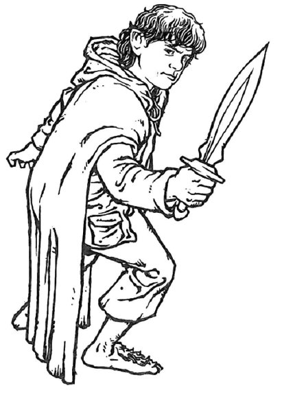 Фродо Сэм Мерри пиппин арт