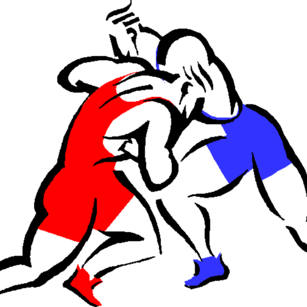 Вольная борьба вектор