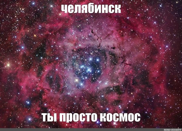 Женский свитшот хлопок s