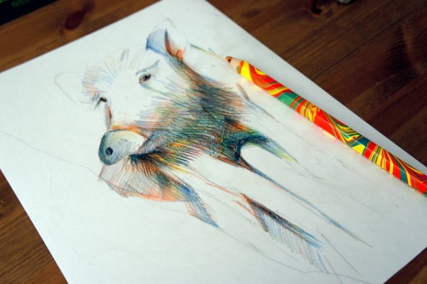 Рисунки многоцветным карандашом