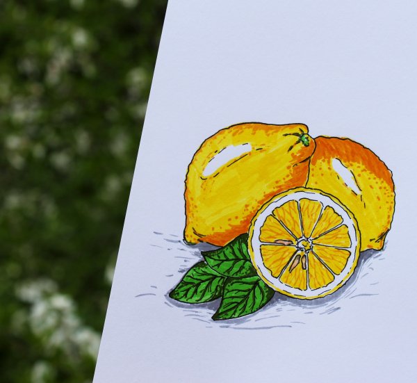 Растительный орнамент в квадрате