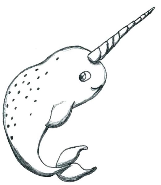 Нарвал червь