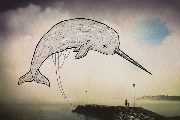 Нарвал карандашом