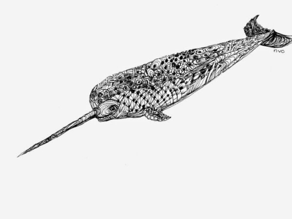 Нарвал в линейном стиле