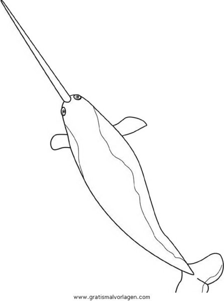 Раскраски нарвал милые