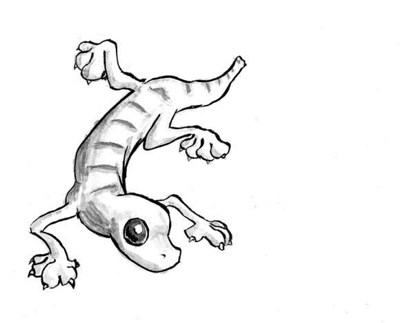 Геккон для срисовки