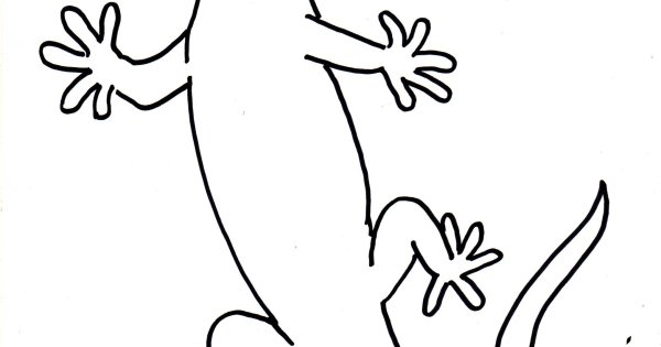 Геккон рисунок карандашом