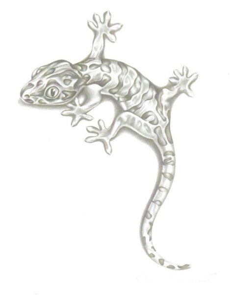 Геккон тату