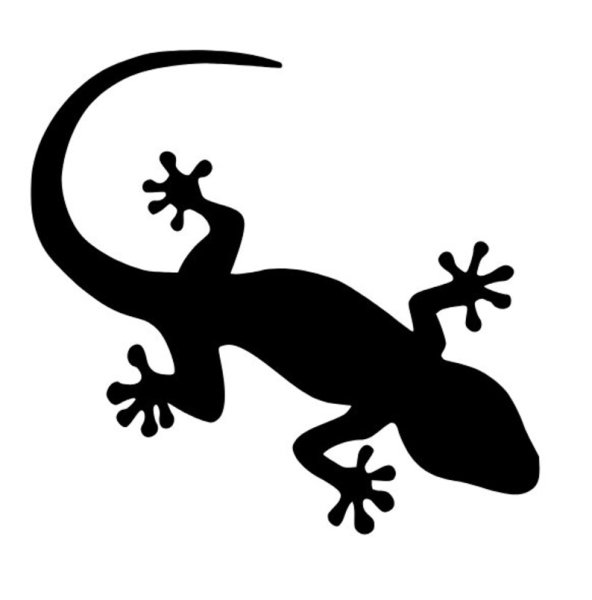 Ящерица черно белая