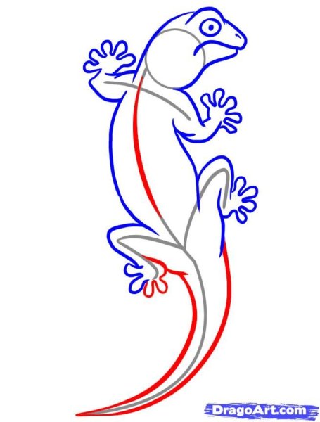 Геккон карандашом