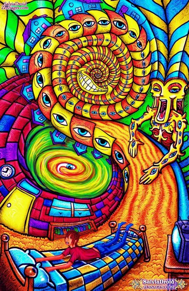 Психоделический опыт