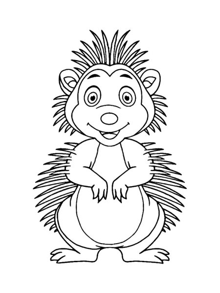 Дикобразик рисунок