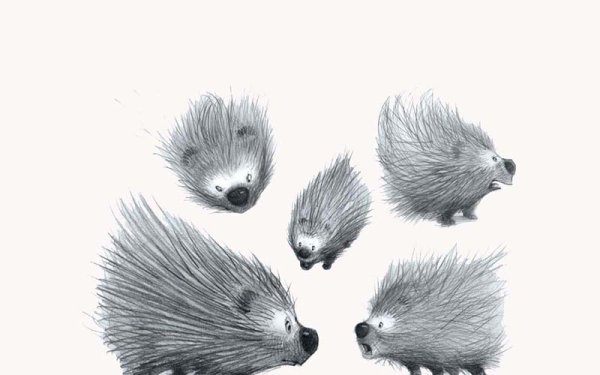 Дикообраз или Дикобраз