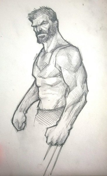 Росомаха Марвел рисунок