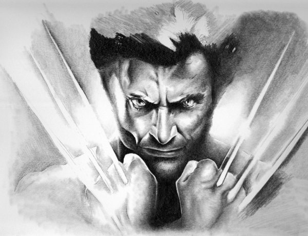 Рисунок простым карандашом Росомаха