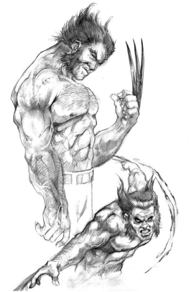 Росомаха рисунок карандашом