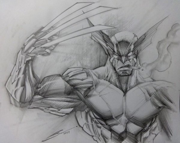 Росомаха карандашом