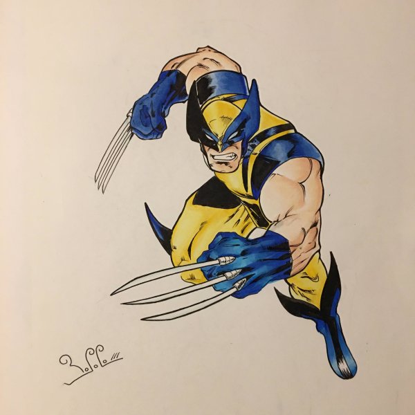 Раскраска Логан Росомаха