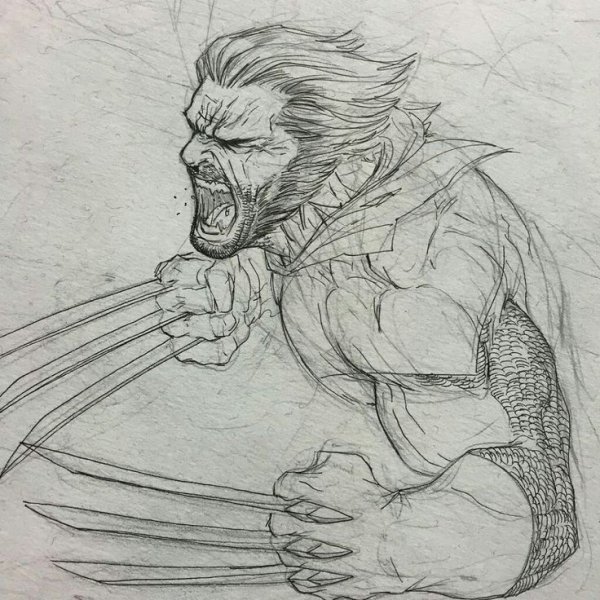 Росомаха для срисовки