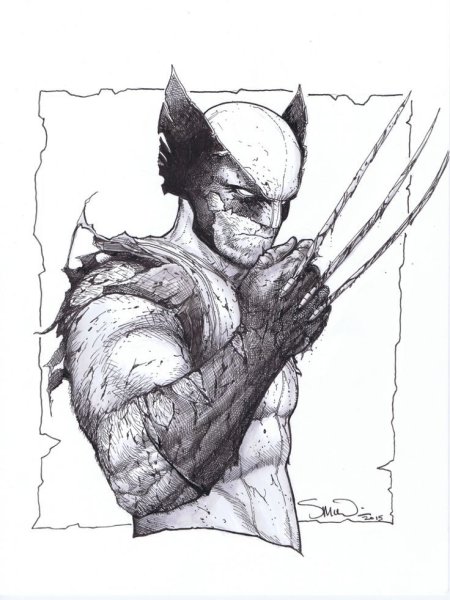 Раскраска Логан Росомаха