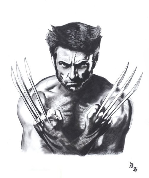 Раскраска Логан Росомаха