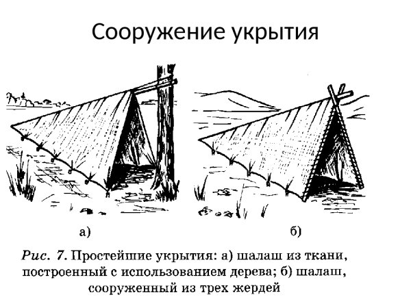 Простейшие укрытия