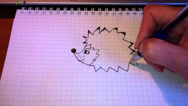 Обычные рисунки несложные