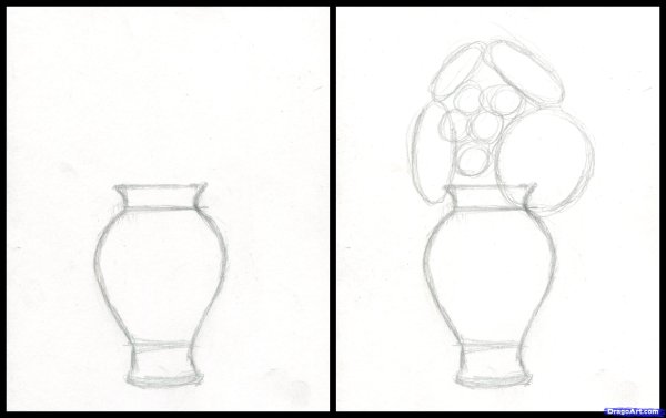 Этапы рисования вазы