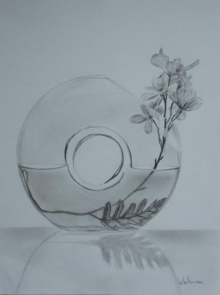 Натюрморт с цветами карандашом