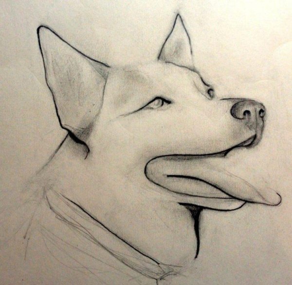 Рисунки легкие