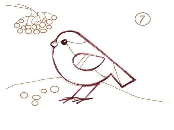 Воробей пошаговое рисование