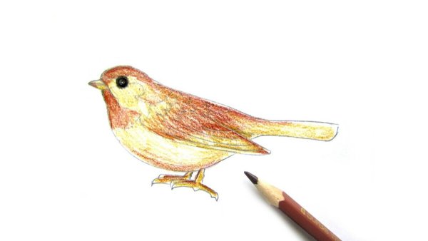 Рисование воробья