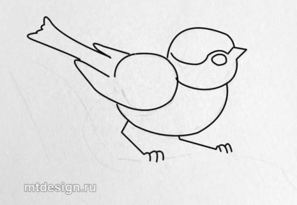 Синичка раскраска для детей