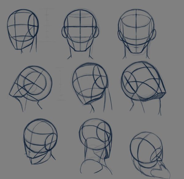 Схема Эндрю Лумиса