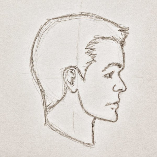 Портрет в профиль карандашом